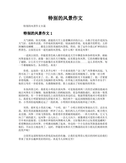 特别的风景作文