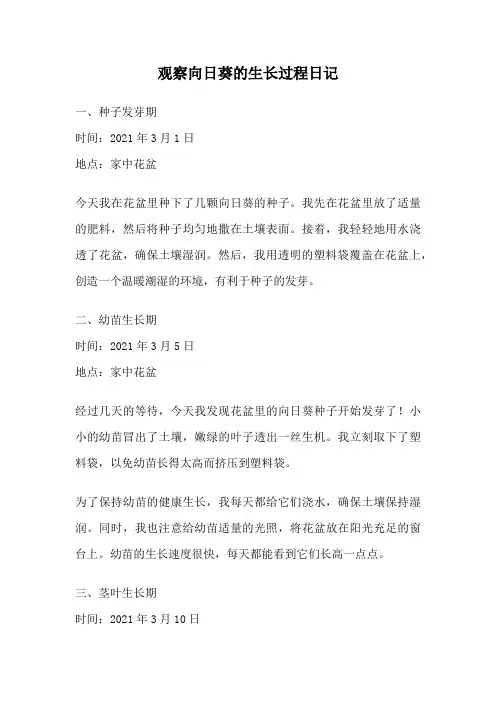 观察向日葵的生长过程日记
