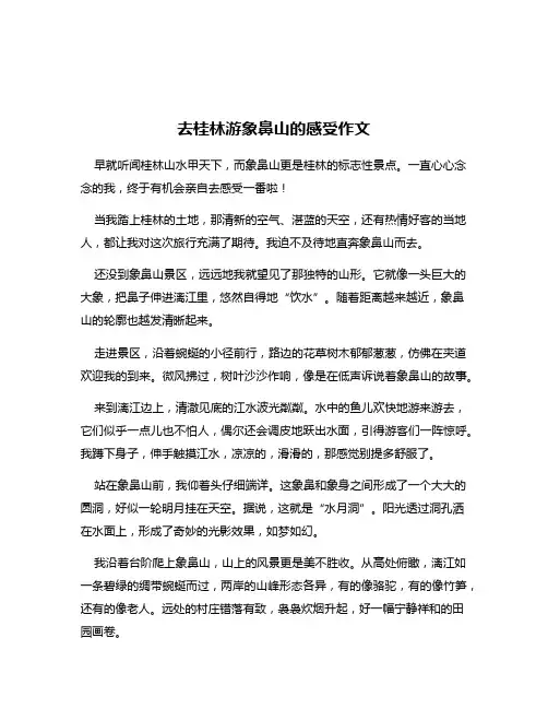 去桂林游象鼻山的感受作文