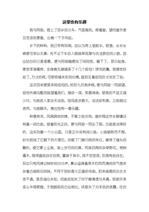 初三作文：这里也有乐趣作文800字_1