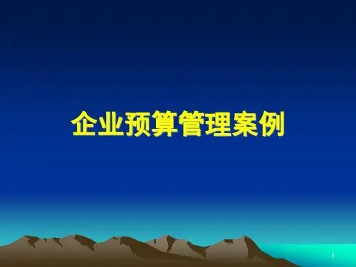 企业预算管理案例(PPT 107页)