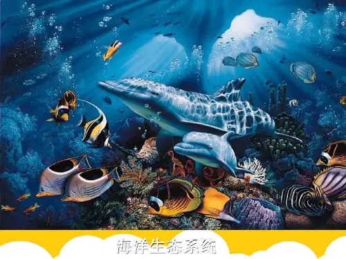 【实用】海洋生态系统PPT文档