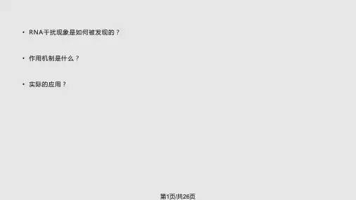 转录水平上的基因沉默PPT课件