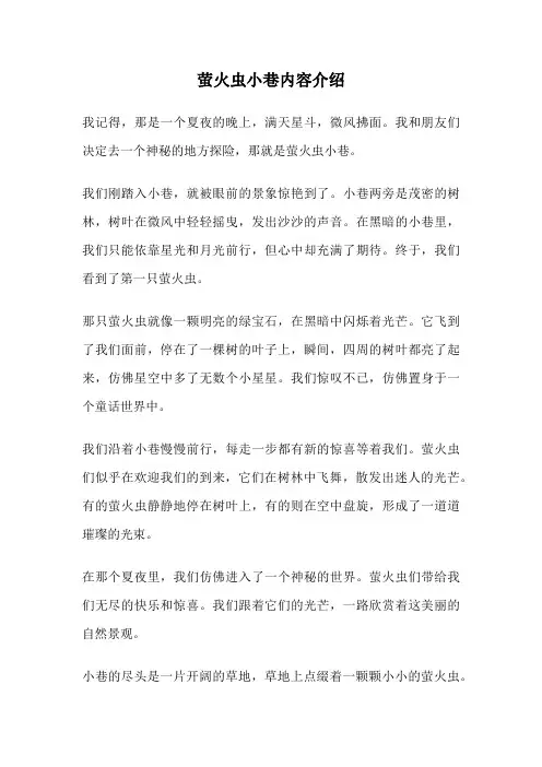 萤火虫小巷内容介绍