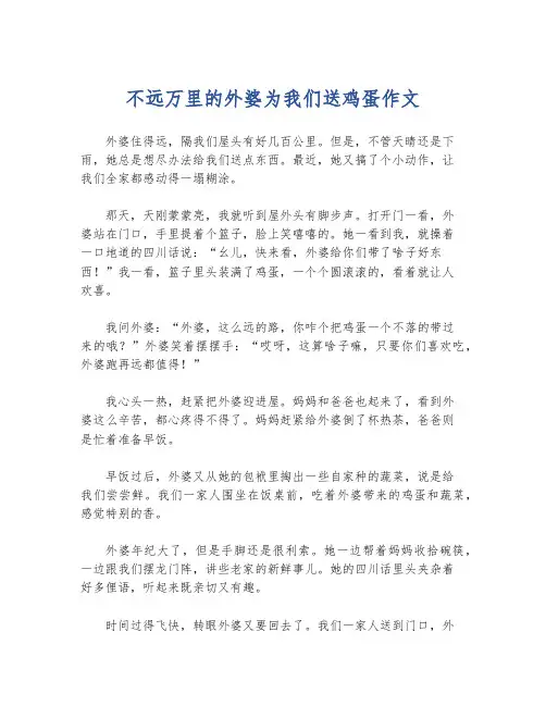 不远万里的外婆为我们送鸡蛋作文