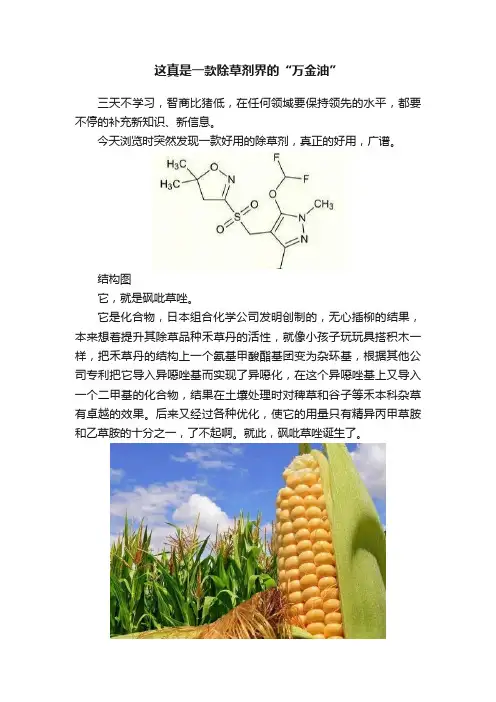 这真是一款除草剂界的“万金油”