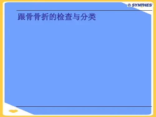 跟骨骨折的检查与分类.正式版PPT文档