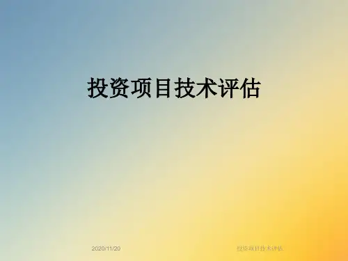 投资项目技术评估