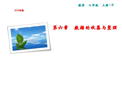 七年级数学北师大版上册课件：第6章 1 数据的收集(共15张PPT)