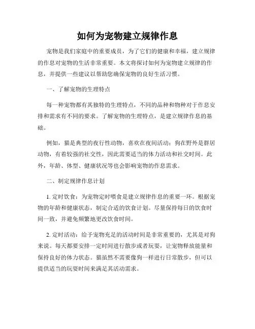 如何为宠物建立规律作息