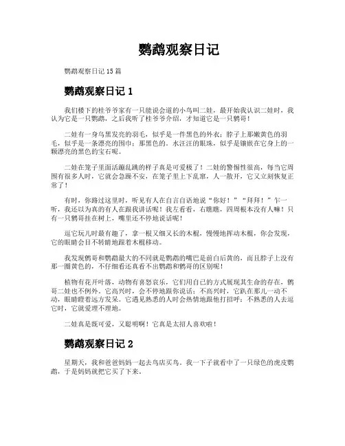 鹦鹉观察日记