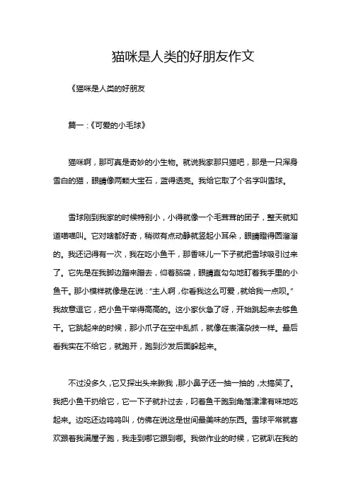 猫咪是人类的好朋友作文