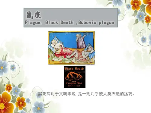 鼠疫PPT课件