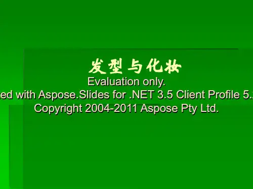 《职业发型及化妆》PPT课件