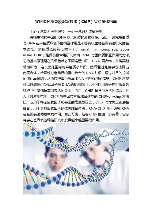实验染色质免疫沉淀技术（ChIP）实验操作指南