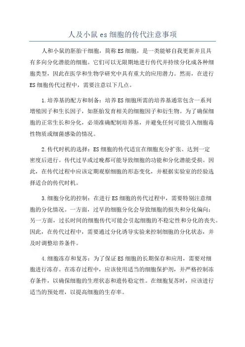 人及小鼠es细胞的传代注意事项