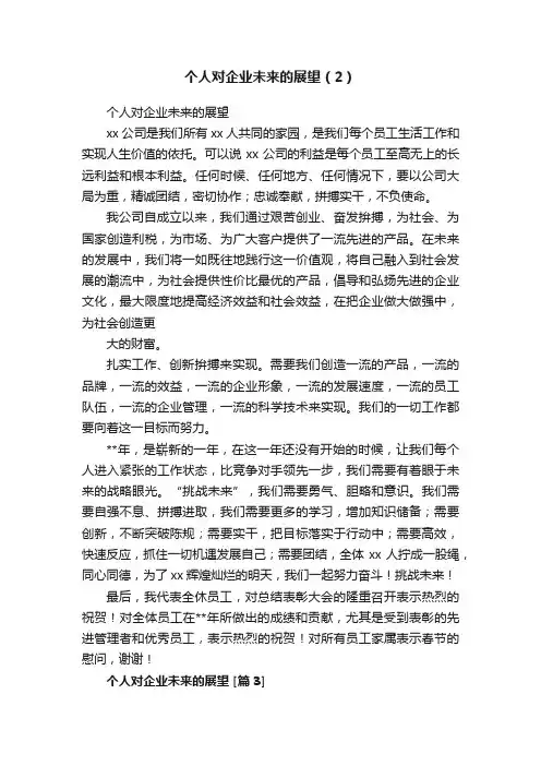 个人对企业未来的展望（2）