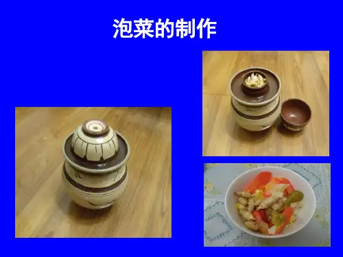 《泡菜的制作》课件