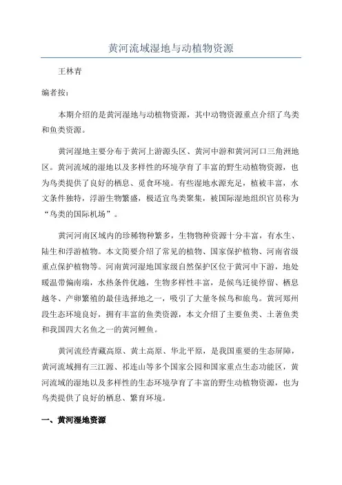 黄河流域湿地与动植物资源