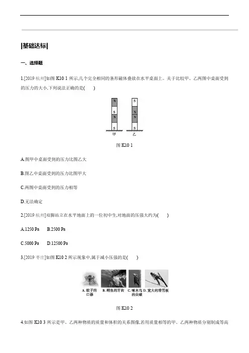 初中物理课时训练10 压强