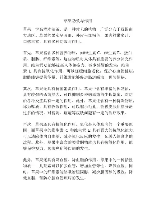 草果功效与作用