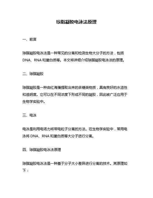 琼脂凝胶电泳法原理