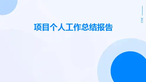 项目个人工作总结报告PPT