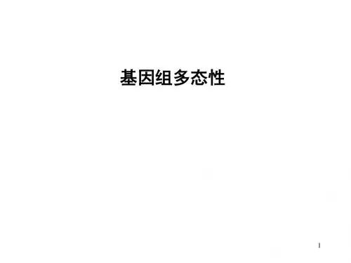基因多态性