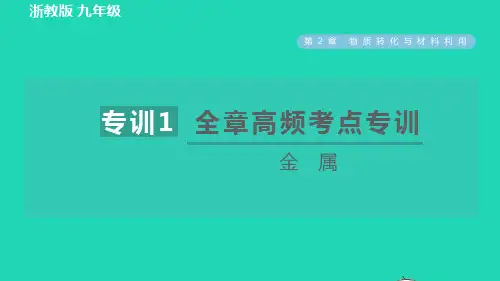 九年级科学上册第2章物质转化与材料利用专项训练一：金属习题课件新版浙教版