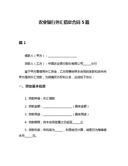 农业银行外汇借款合同5篇