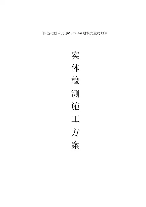 结构实体检测专项施工方案