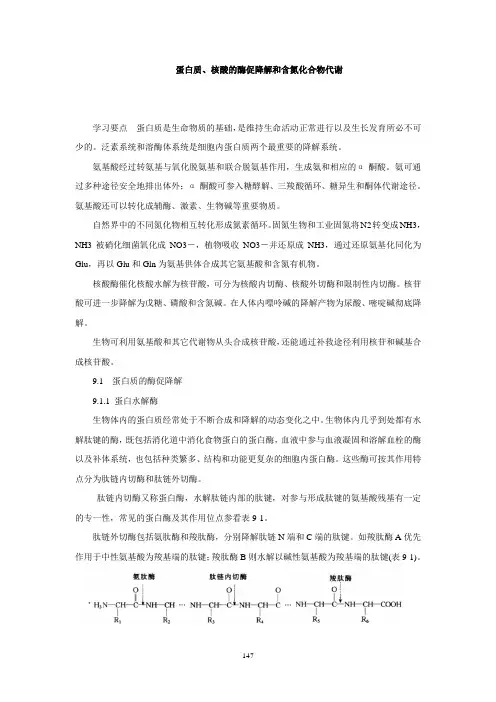蛋白质、核酸的酶促降解和含氮化合物代谢