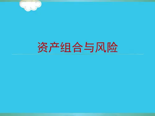 (优)资产组合与风险PPT资料
