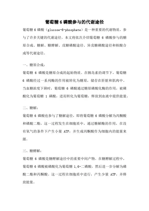 葡萄糖6磷酸参与的代谢途径