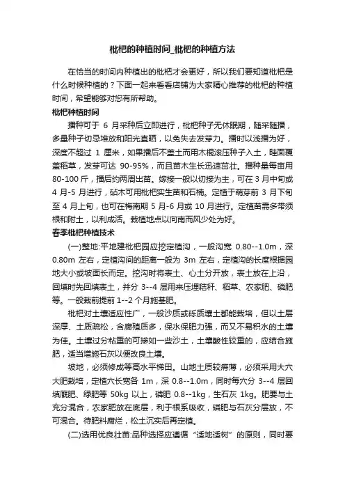 枇杷的种植时间_枇杷的种植方法