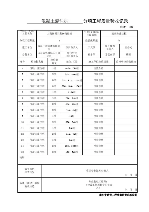 分项工程质量验收记录(全)