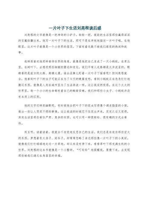 一片叶子下生活刘亮程读后感