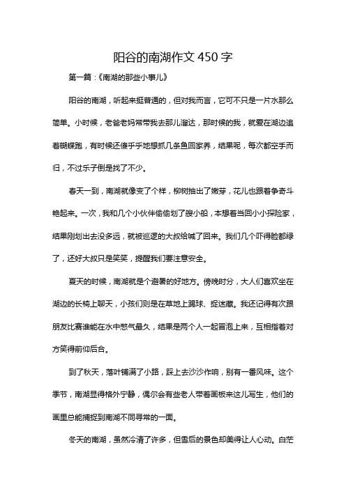 阳谷的南湖作文450字