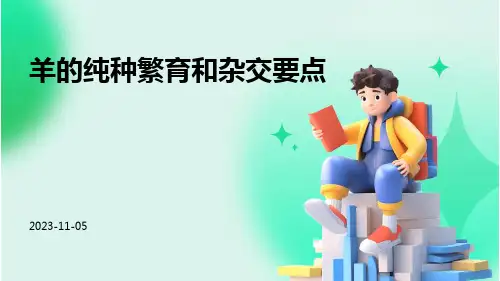 羊的纯种繁育和杂交要点
