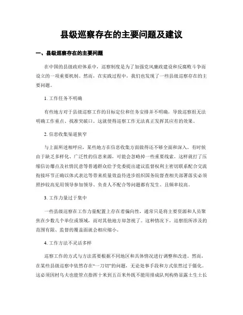 县级巡察存在的主要问题及建议