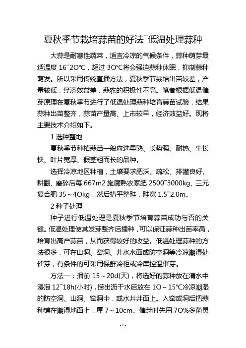 夏秋季节栽培蒜苗的好法―低温处理蒜种