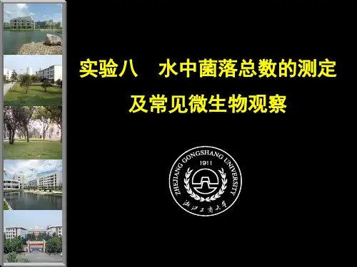 实验八水中菌落综述的测定及常见微生物的观察(精)