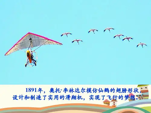 八年级下册物理第十章流体的力现象第一节《在流体中运动》参考PPT