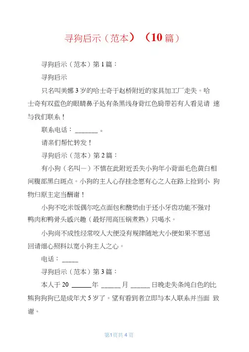 寻狗启示(范本)(10篇)