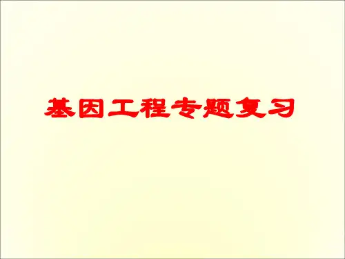 高中生物基因工程
