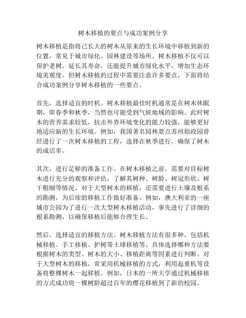 树木移植的要点与成功案例分享