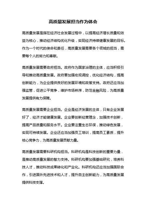 高质量发展担当作为体会