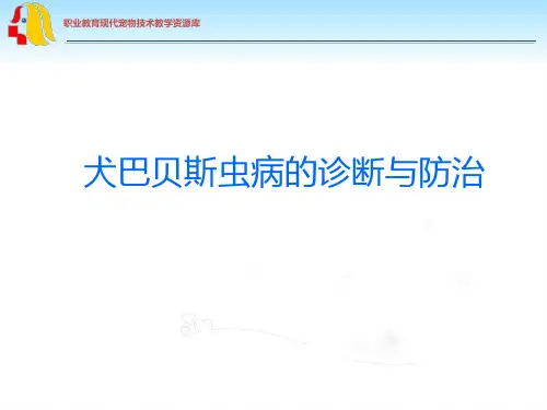 犬巴贝斯虫病的诊断与防治.ppt