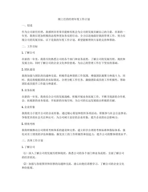 刚上任的经理年度工作计划