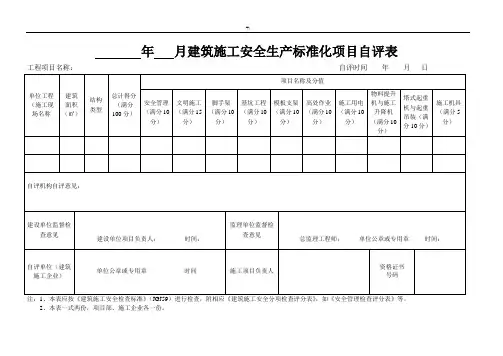 计划项目月度自评表(总表+19项分表)